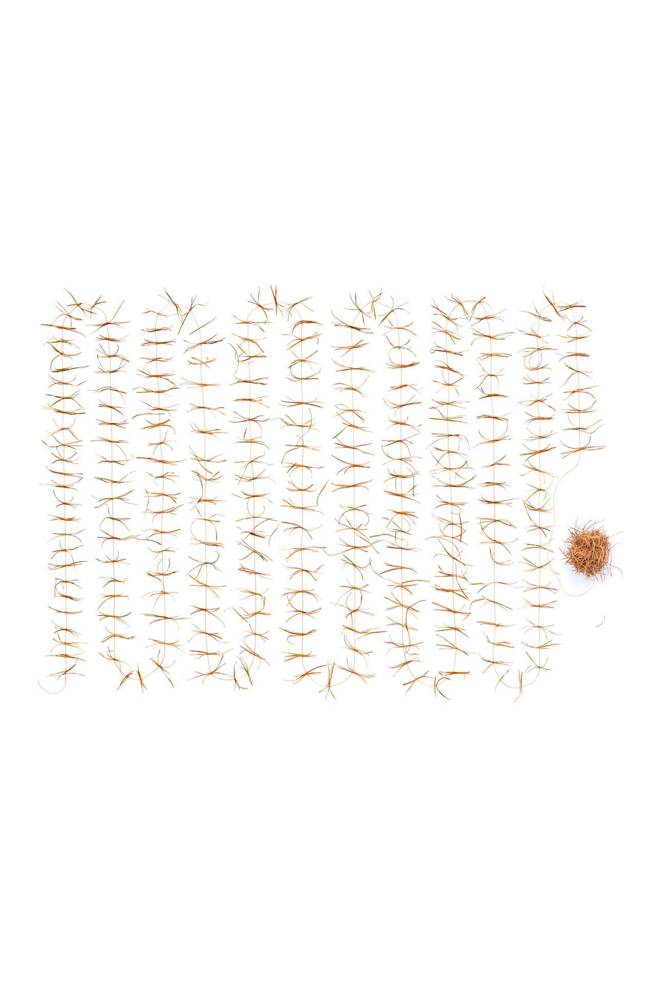 Silser Kugel, Culla da Segl