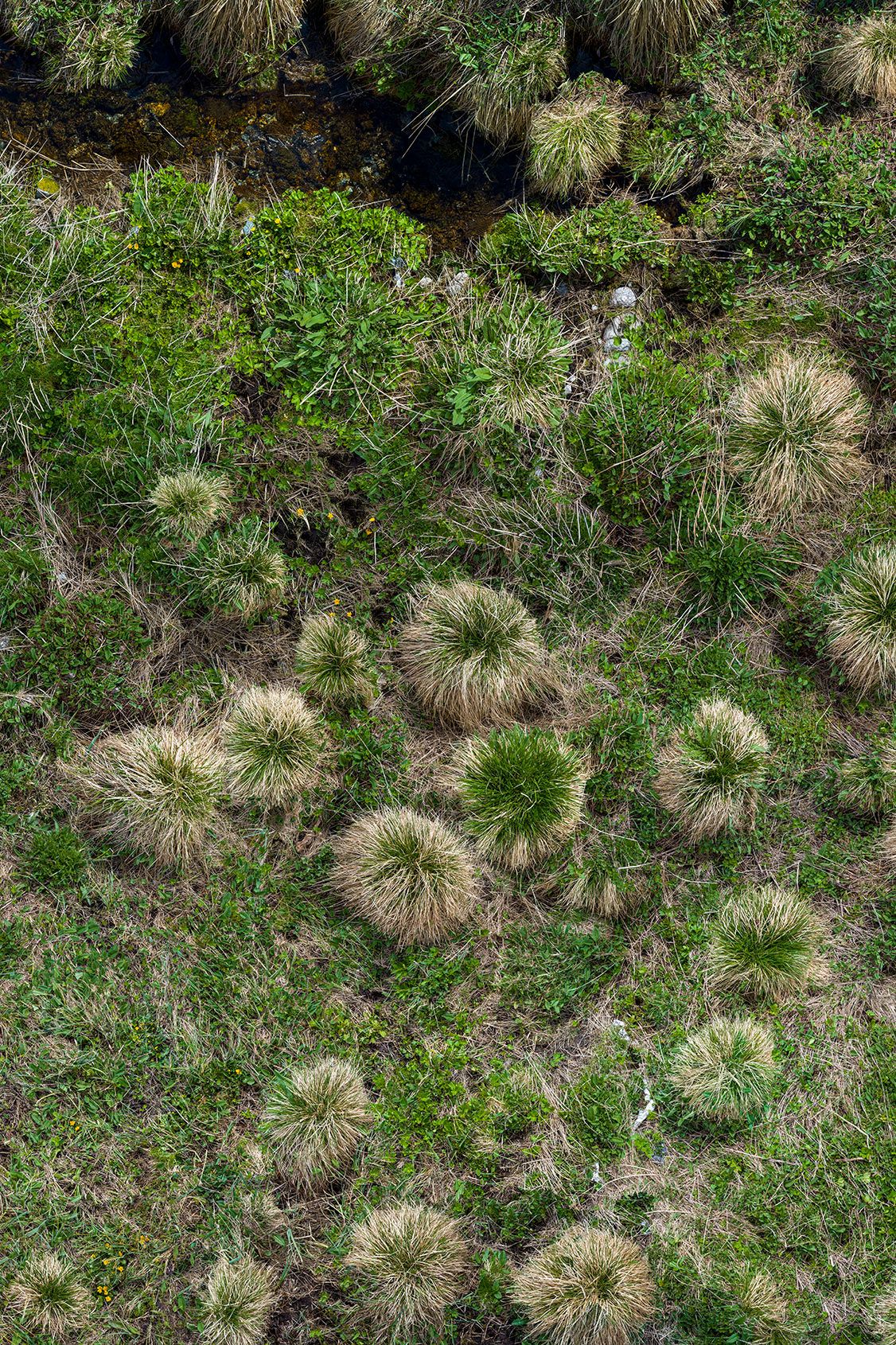 the world at our feet