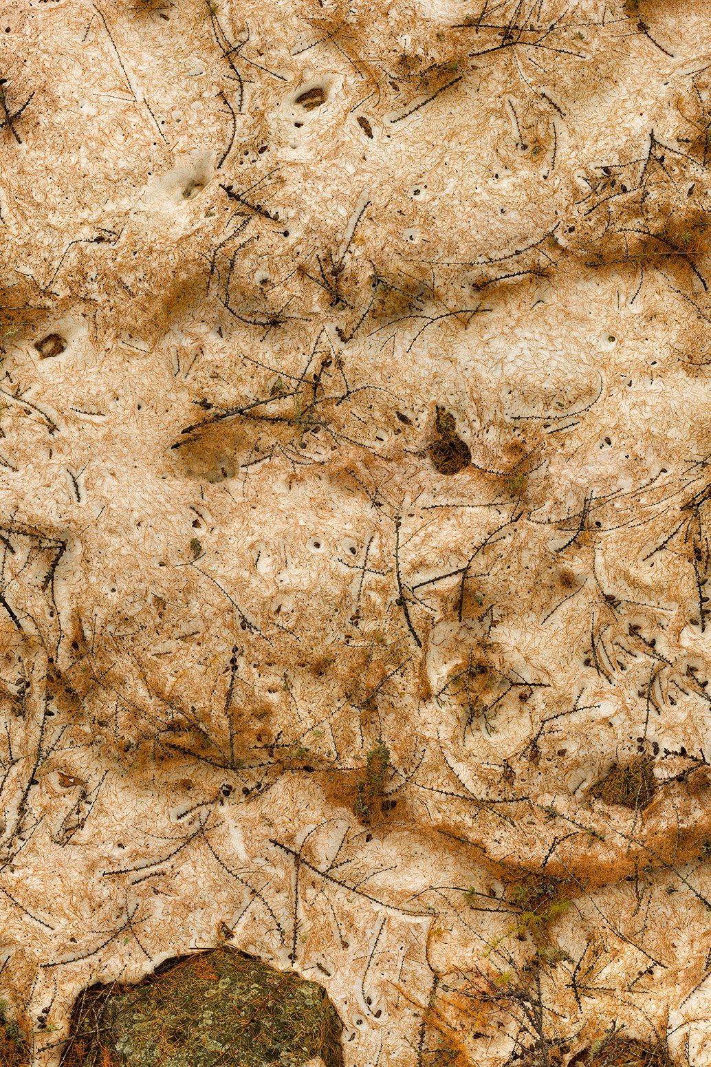 the world at our feet