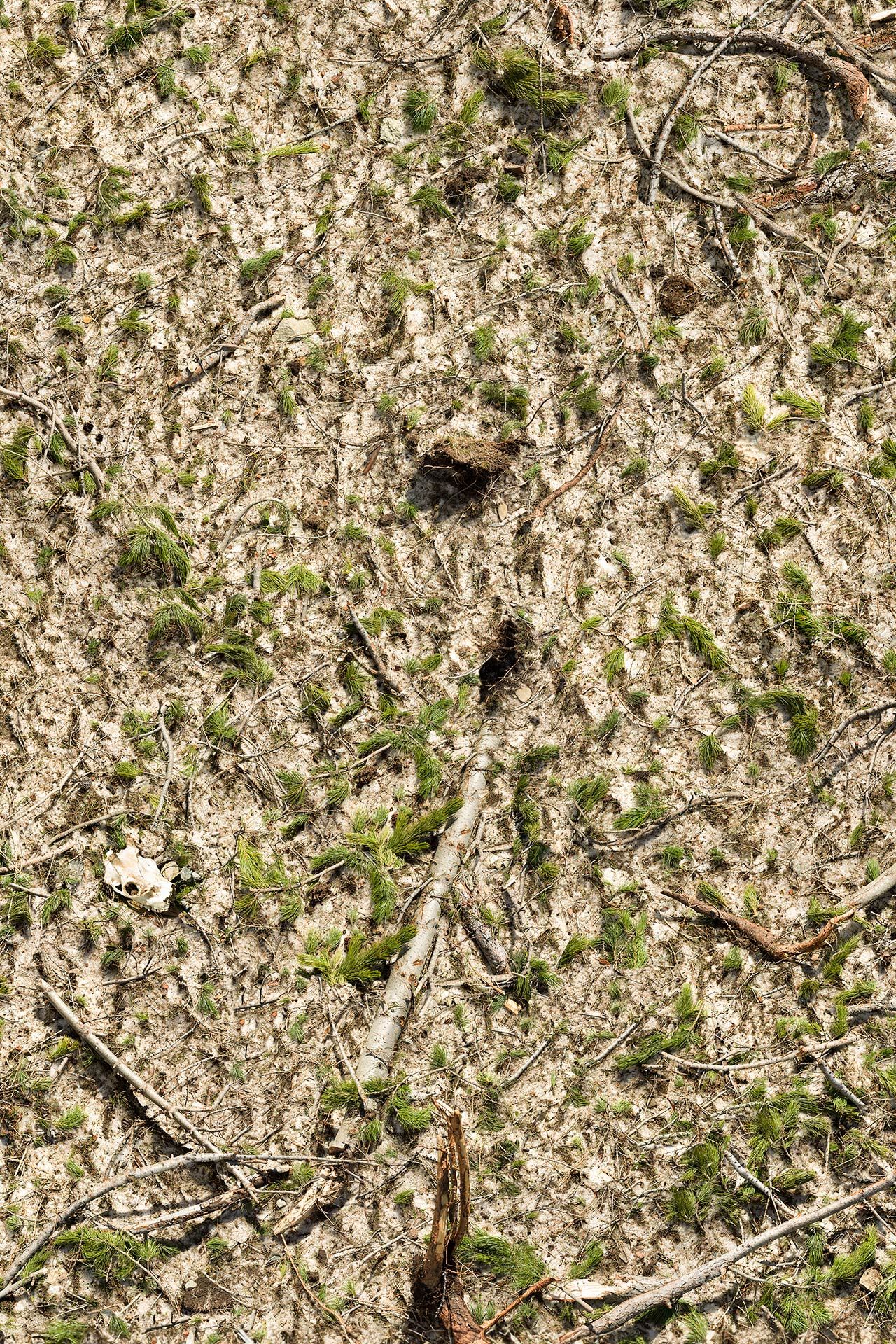 the world at our feet