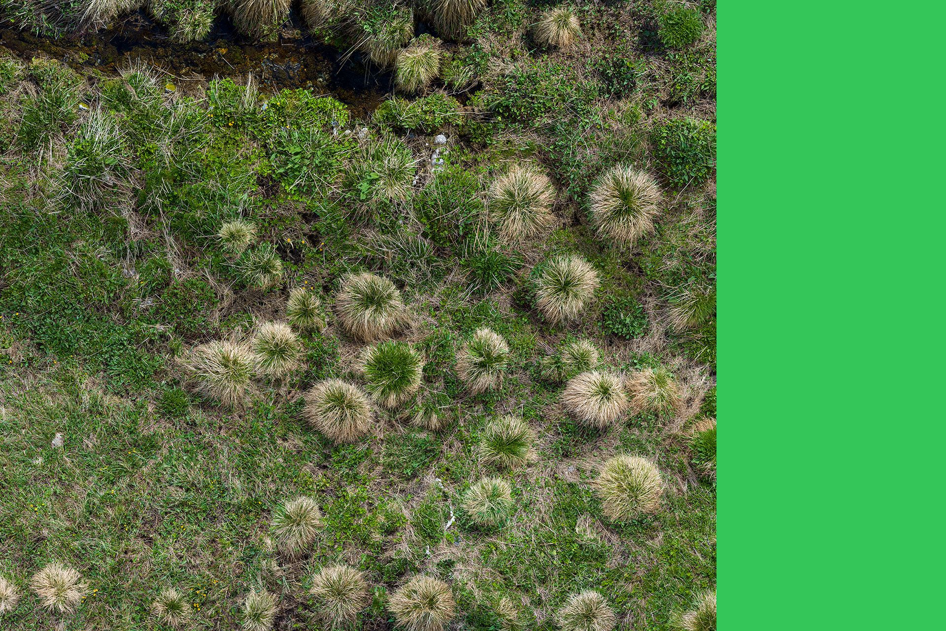 the world at our feet