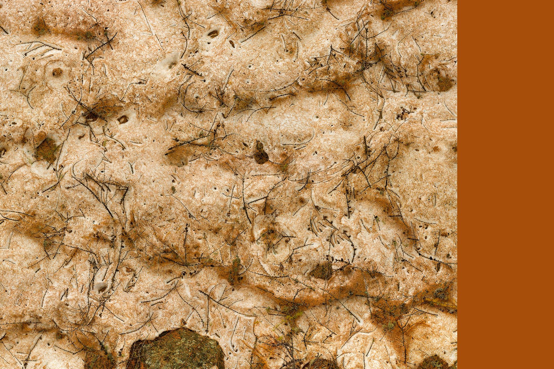 the world at our feet