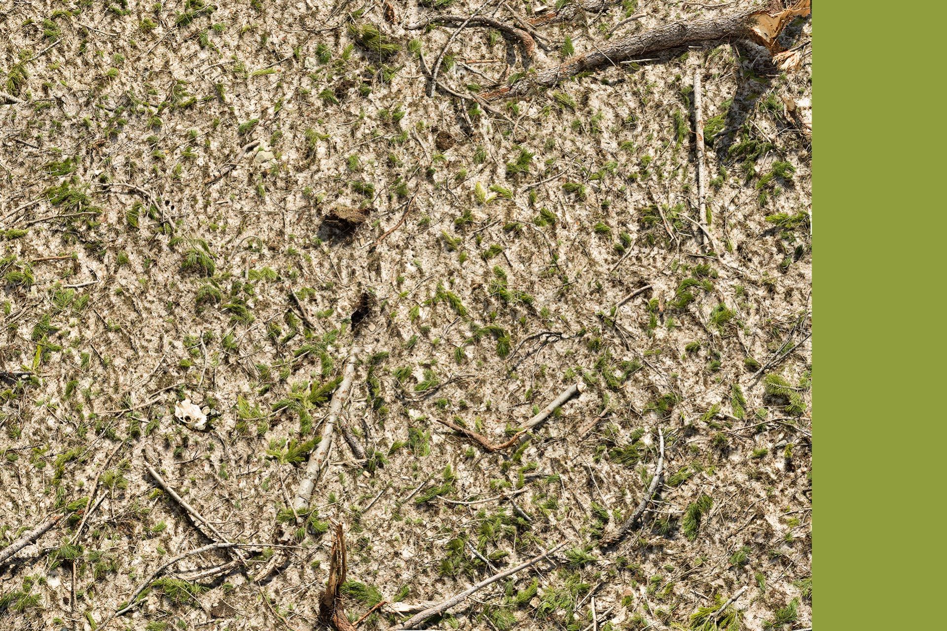 the world at our feet