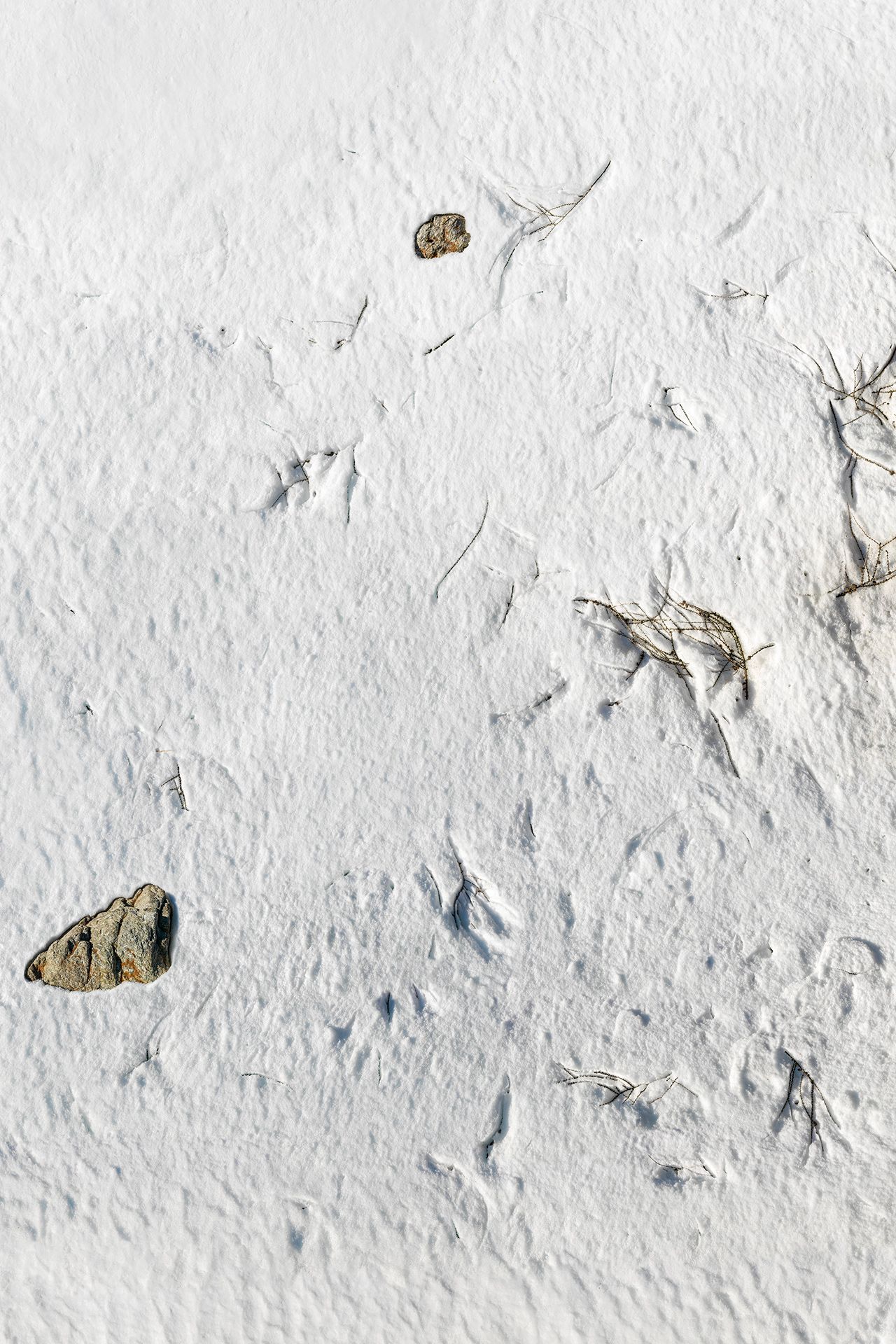 the world at our feet