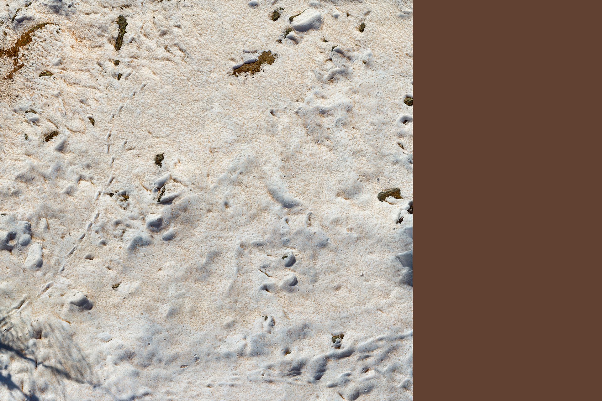 the world at our feet