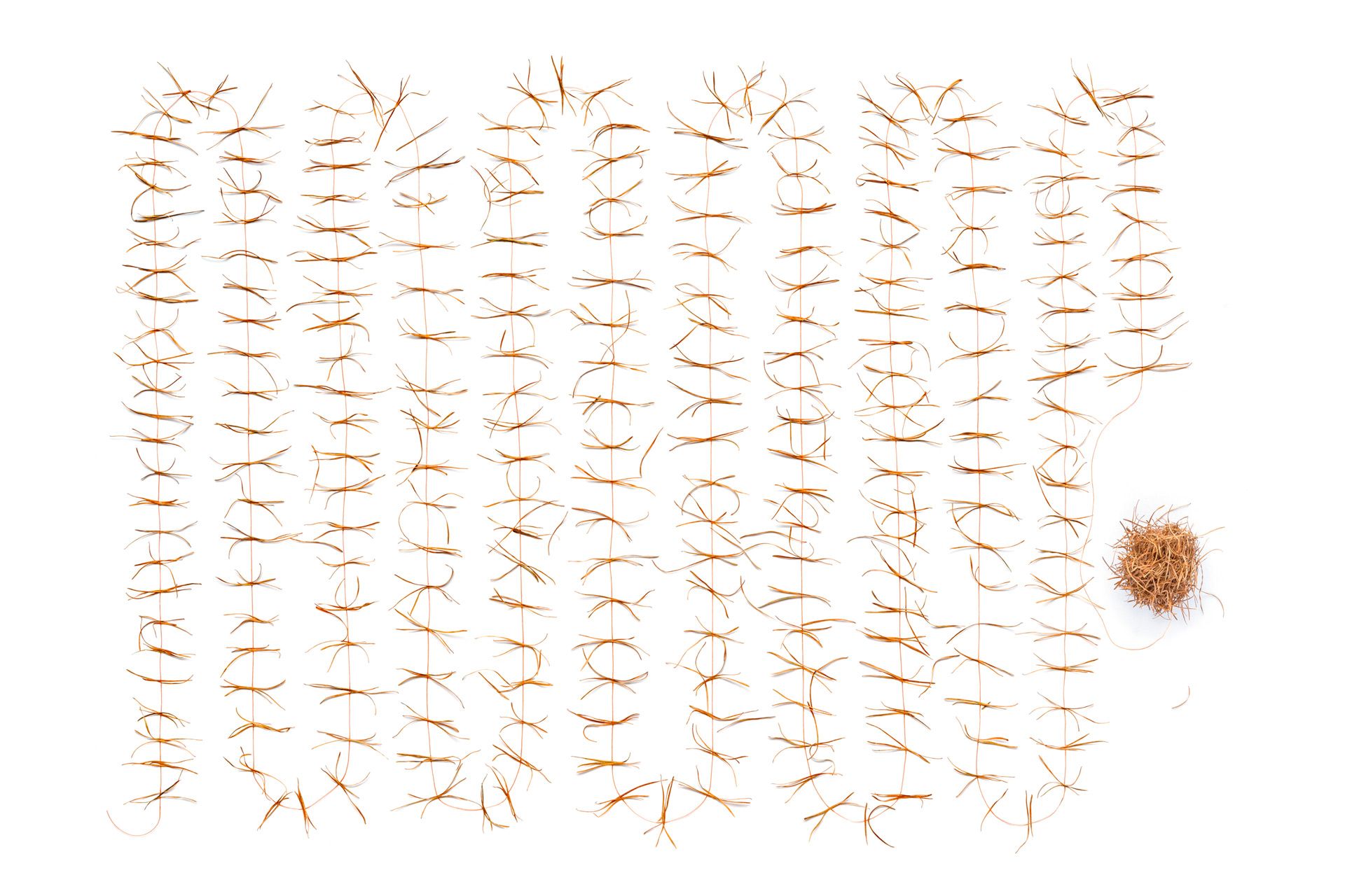 Silser Kugel, Culla da Segl