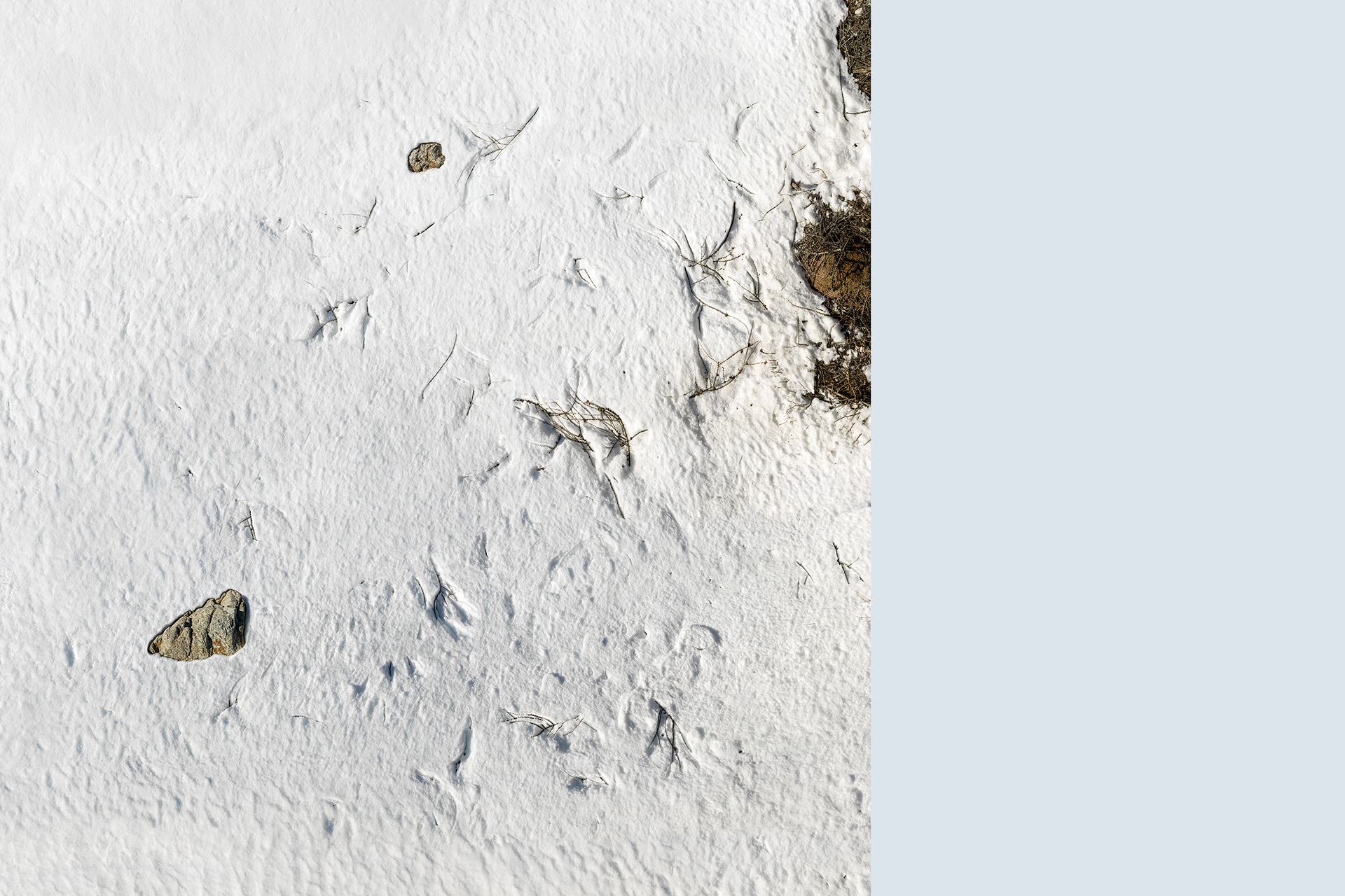 the world at our feet